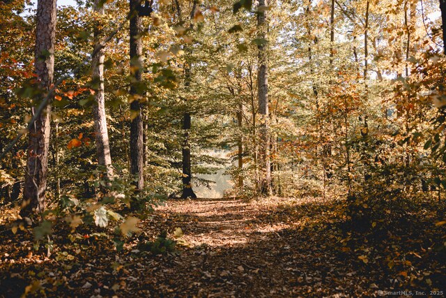 view of nature featuring a view of trees