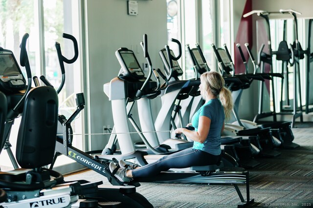 exercise room featuring carpet