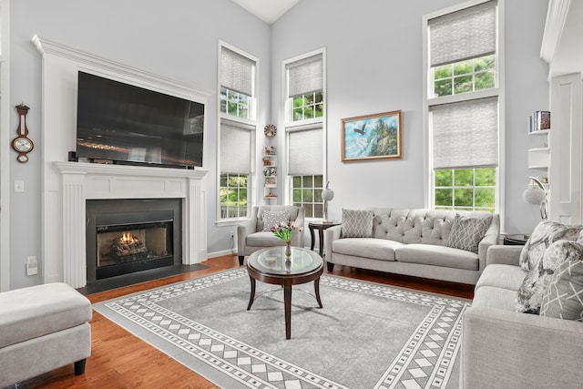 living room featuring wood-type flooring and a high ceiling