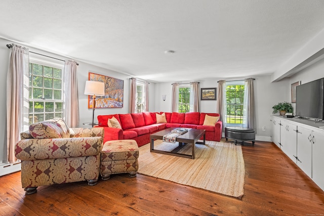 living room featuring hardwood / wood-style floors