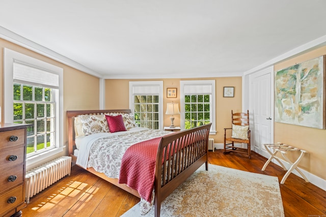 bedroom featuring multiple windows, radiator heating unit, and hardwood / wood-style floors