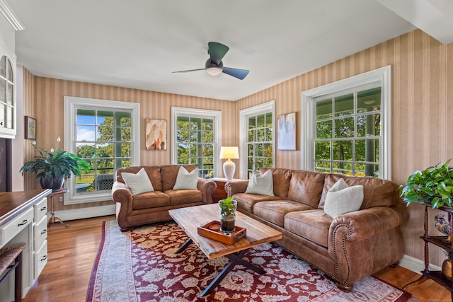 living room featuring ceiling fan and light hardwood / wood-style flooring