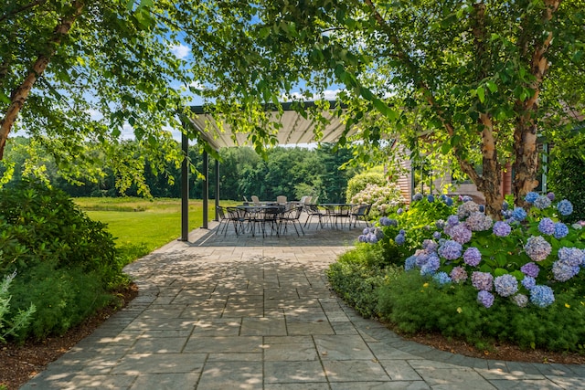 view of community featuring a patio and a lawn