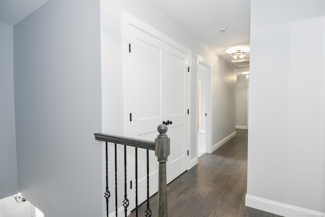 hall with dark hardwood / wood-style flooring