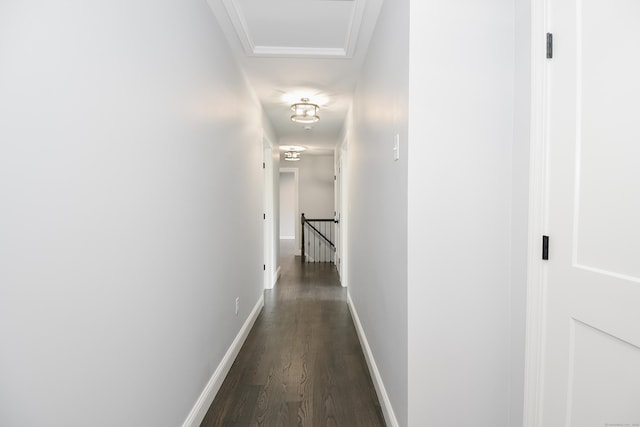 corridor with dark hardwood / wood-style flooring and ornamental molding