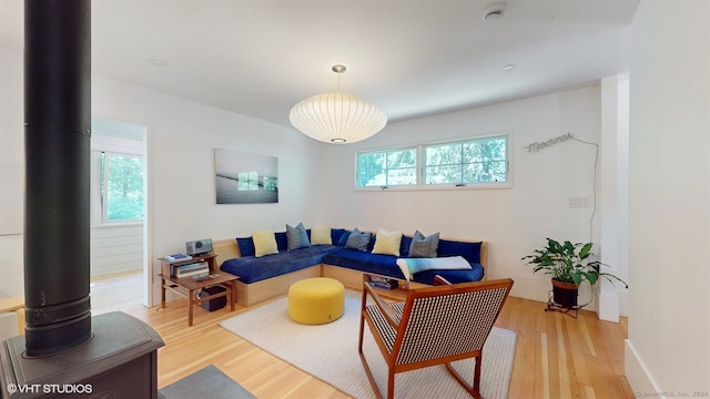 living room featuring a wood stove and light hardwood / wood-style flooring