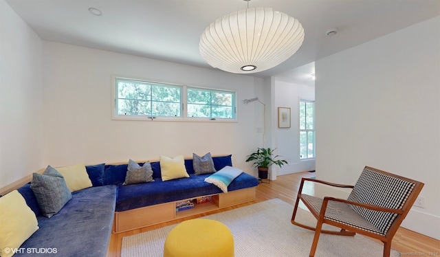 living room featuring hardwood / wood-style floors