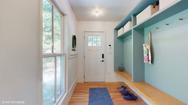 mudroom with plenty of natural light and wood-type flooring