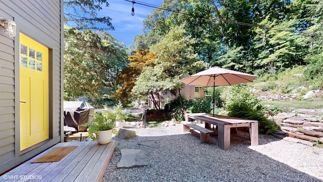 view of yard featuring a patio