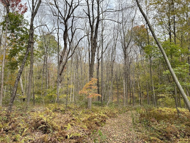 Listing photo 2 for 120 Westwoods Road 1 Lot 5, Sharon CT 06069