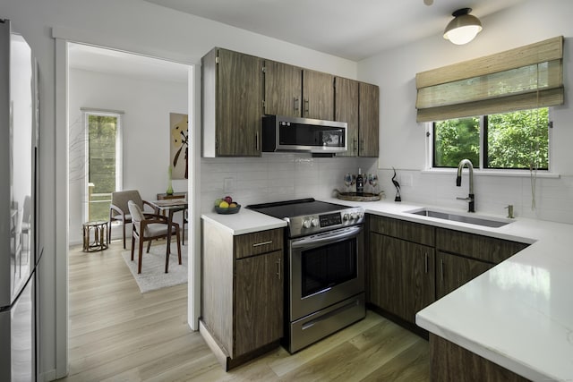 kitchen featuring sink, light hardwood / wood-style flooring, backsplash, dark brown cabinets, and stainless steel appliances