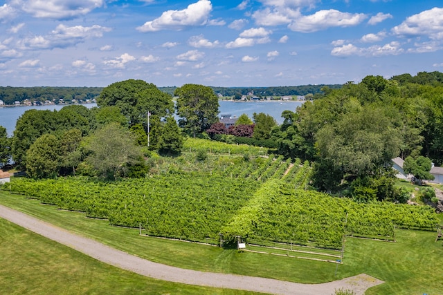 215 Uncas Point Rd, Guilford, CT 06437 - aerial view of a nearby body of water