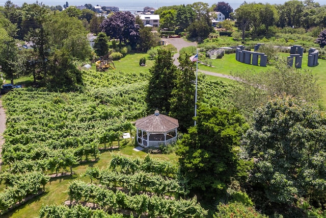 215 Uncas Point Rd, Guilford, CT 06437 - drone / aerial view