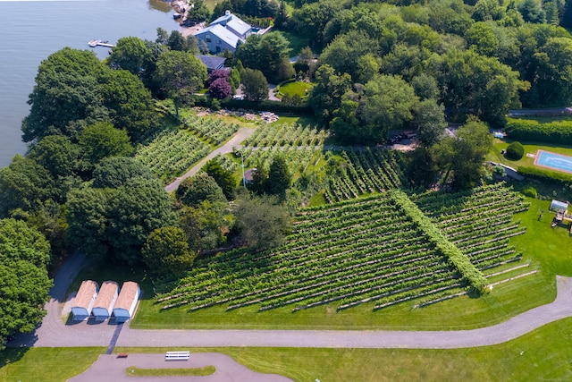 bird's eye view with a water view and a rural view