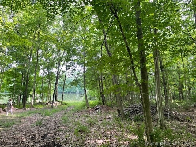 Seckar Rd, Ashford CT, 06278 land for sale