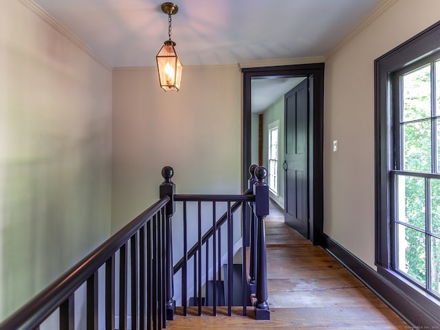 stairs with hardwood / wood-style flooring and ornamental molding