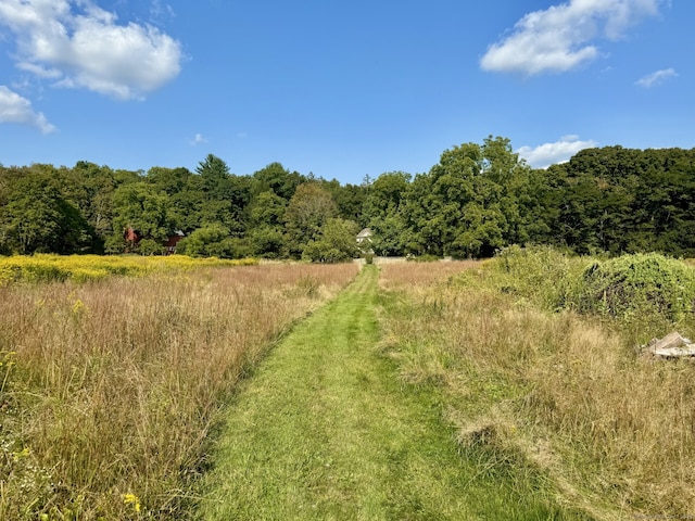 view of local wilderness with a rural view