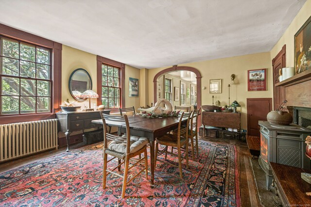 dining room featuring radiator and a wood stove