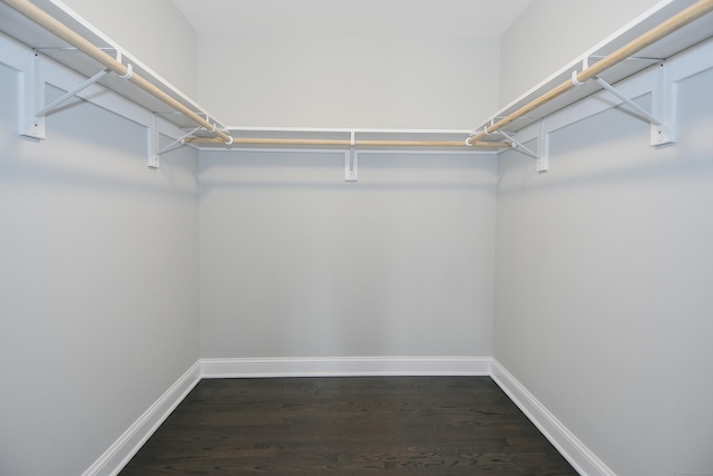 walk in closet with dark wood-type flooring