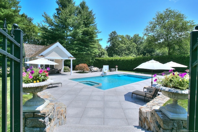 view of pool featuring a patio