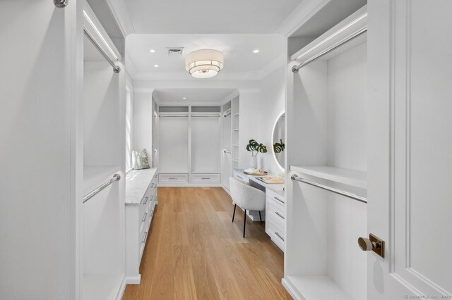 spacious closet with light wood-type flooring