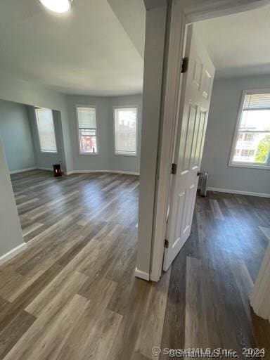 corridor with wood-type flooring and plenty of natural light