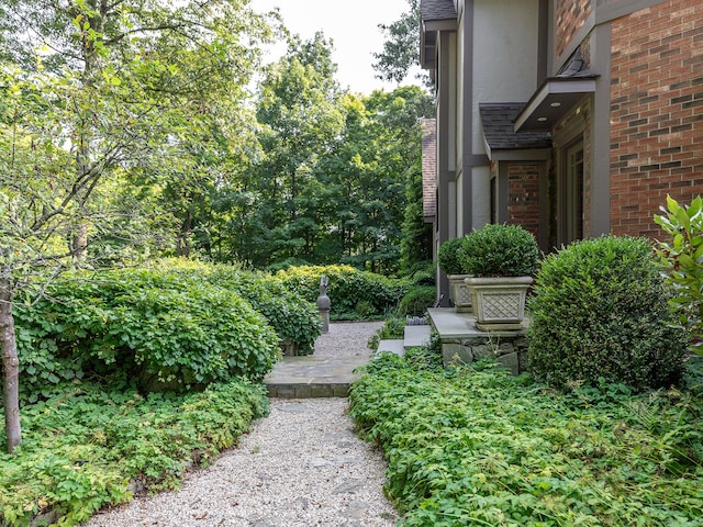 view of yard with a patio