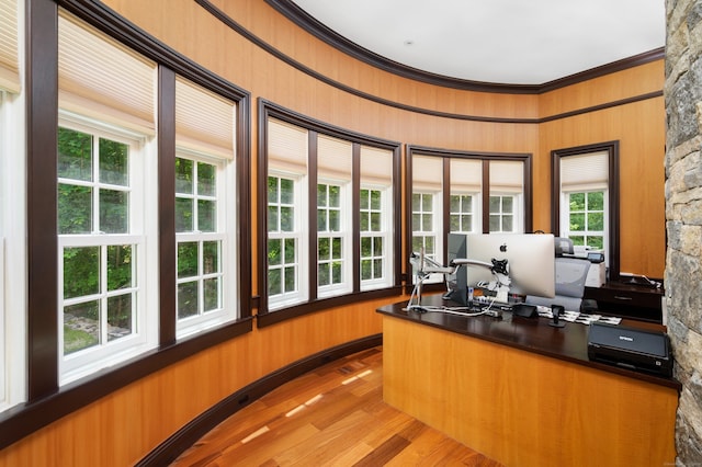 home office with wooden walls, crown molding, and light hardwood / wood-style flooring