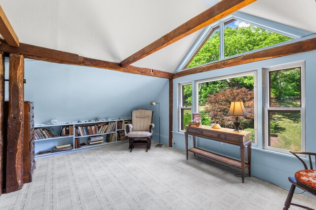 28 S Wig Hill Rd, Chester, CT 06412 - sitting room with carpet flooring