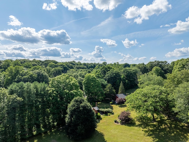 28 S Wig Hill Rd, Chester, CT 06412 - aerial view of property and surrounding area featuring a heavily wooded area