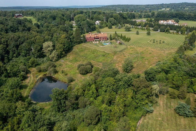 birds eye view of property featuring a rural view, a water view, and a forest view