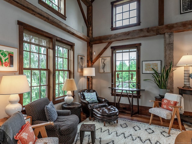 living area featuring a healthy amount of sunlight, a high ceiling, and wood finished floors