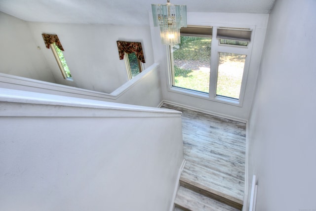 staircase with wood-type flooring and a chandelier