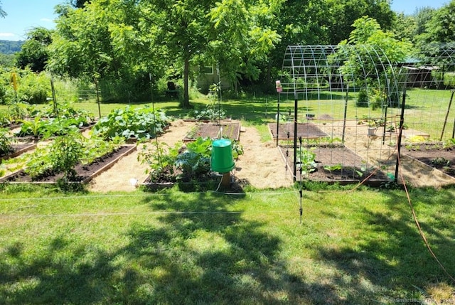 181 Scotland Rd, Sprague, CT 06330 - view of grassy yard with a garden