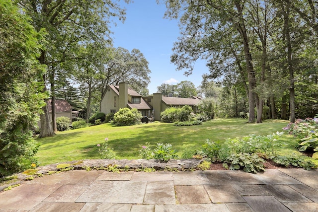 view of yard with a patio area