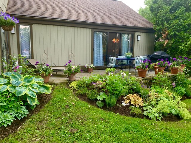 view of yard featuring a patio