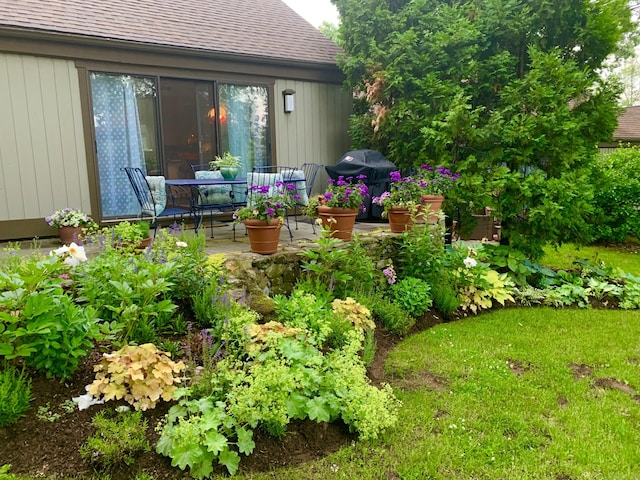 view of yard featuring a patio area