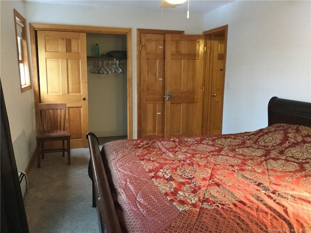 bedroom featuring carpet flooring and a closet