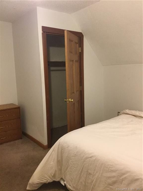 carpeted bedroom featuring a closet and vaulted ceiling