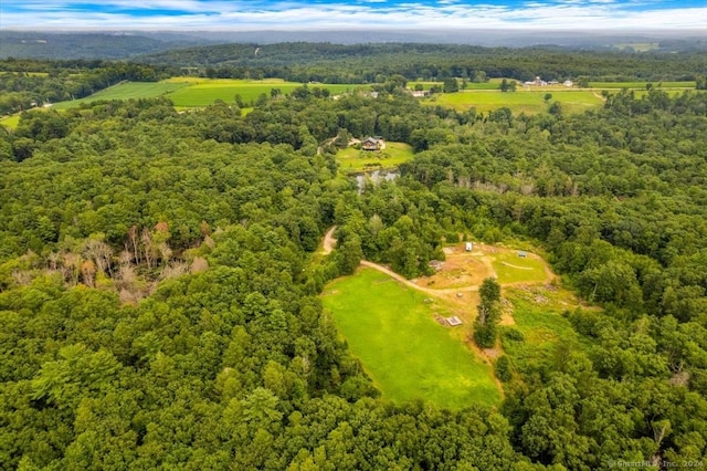 584 Prospect St, Woodstock, CT 06281 - birds eye view of property featuring a wooded view