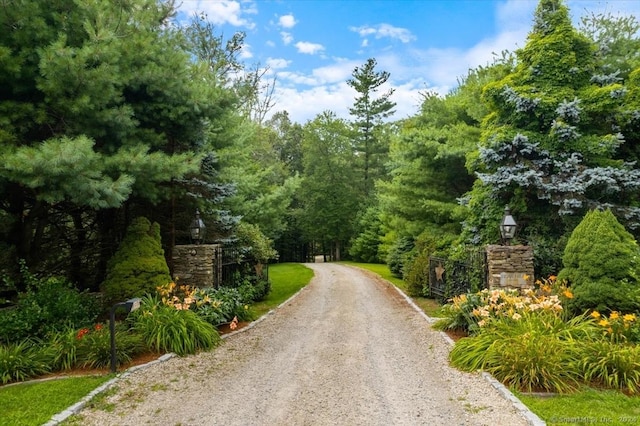 584 Prospect St, Woodstock, CT 06281 - view of road featuring a view of trees