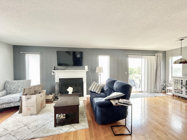 living room featuring plenty of natural light, a textured ceiling, and light hardwood / wood-style floors