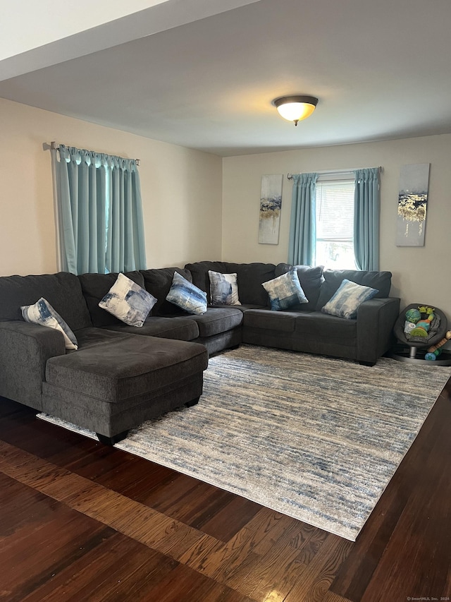 living room with dark hardwood / wood-style floors