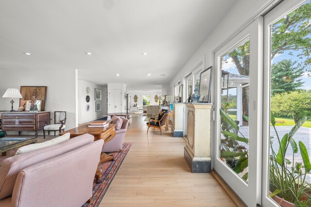 living room with light hardwood / wood-style floors