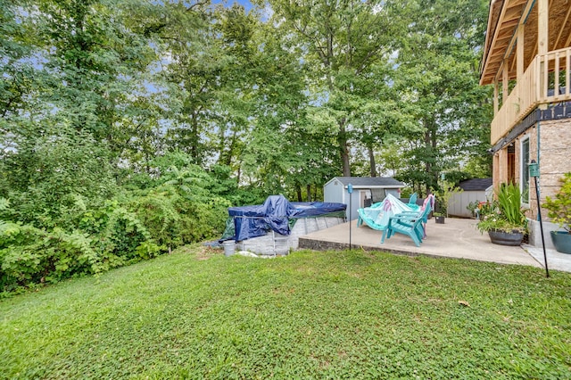 view of yard with a patio and a storage unit