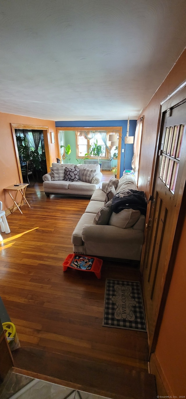 living room featuring hardwood / wood-style flooring