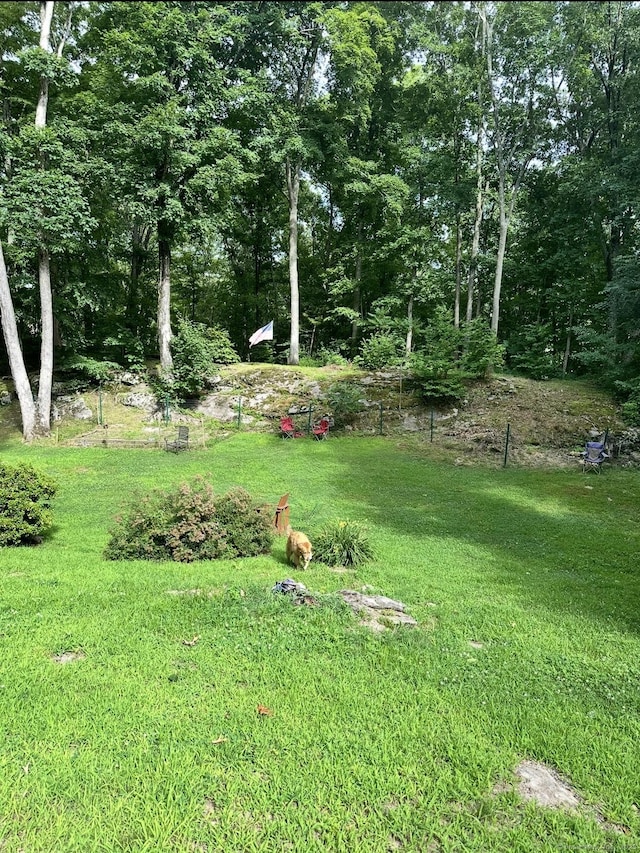 130 Valley Rd, North Branford, CT 06471 - view of yard