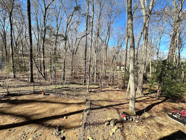 130 Valley Rd, North Branford, CT 06471 - view of yard featuring a wooded view