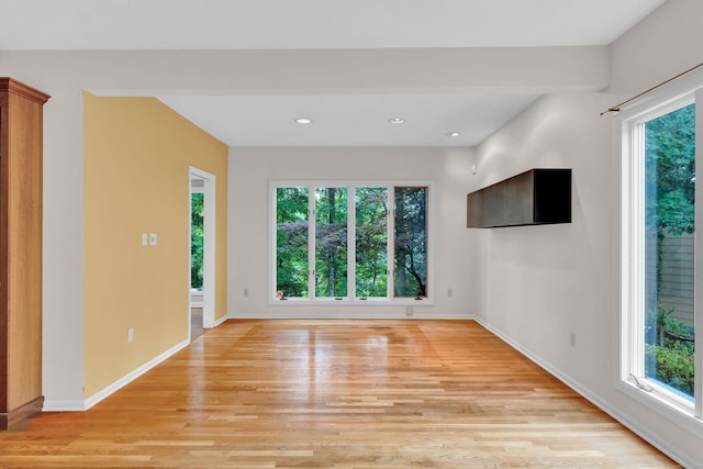 unfurnished room featuring light hardwood / wood-style floors and a wealth of natural light