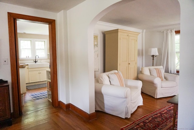 sitting room featuring dark wood-type flooring, plenty of natural light, crown molding, and sink